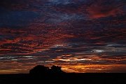 David Plant Photography - Wildlife Photographer - Sunset - M